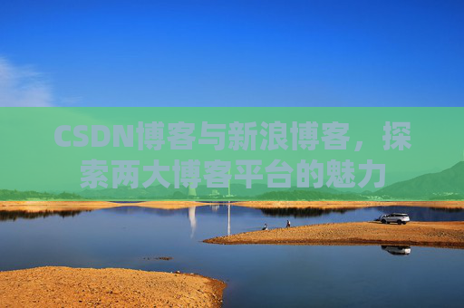 CSDN博客与新浪博客，探索两大博客平台的魅力